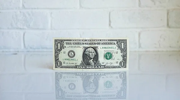Dollar Bill